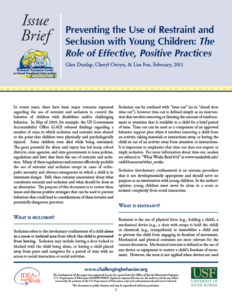 Preventing the Use of Restraint and Seclusion with Young Children: The Role of Effective, Positive Practices