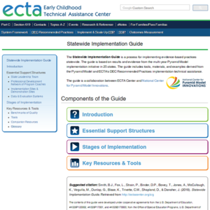 Statewide Implementation Guide