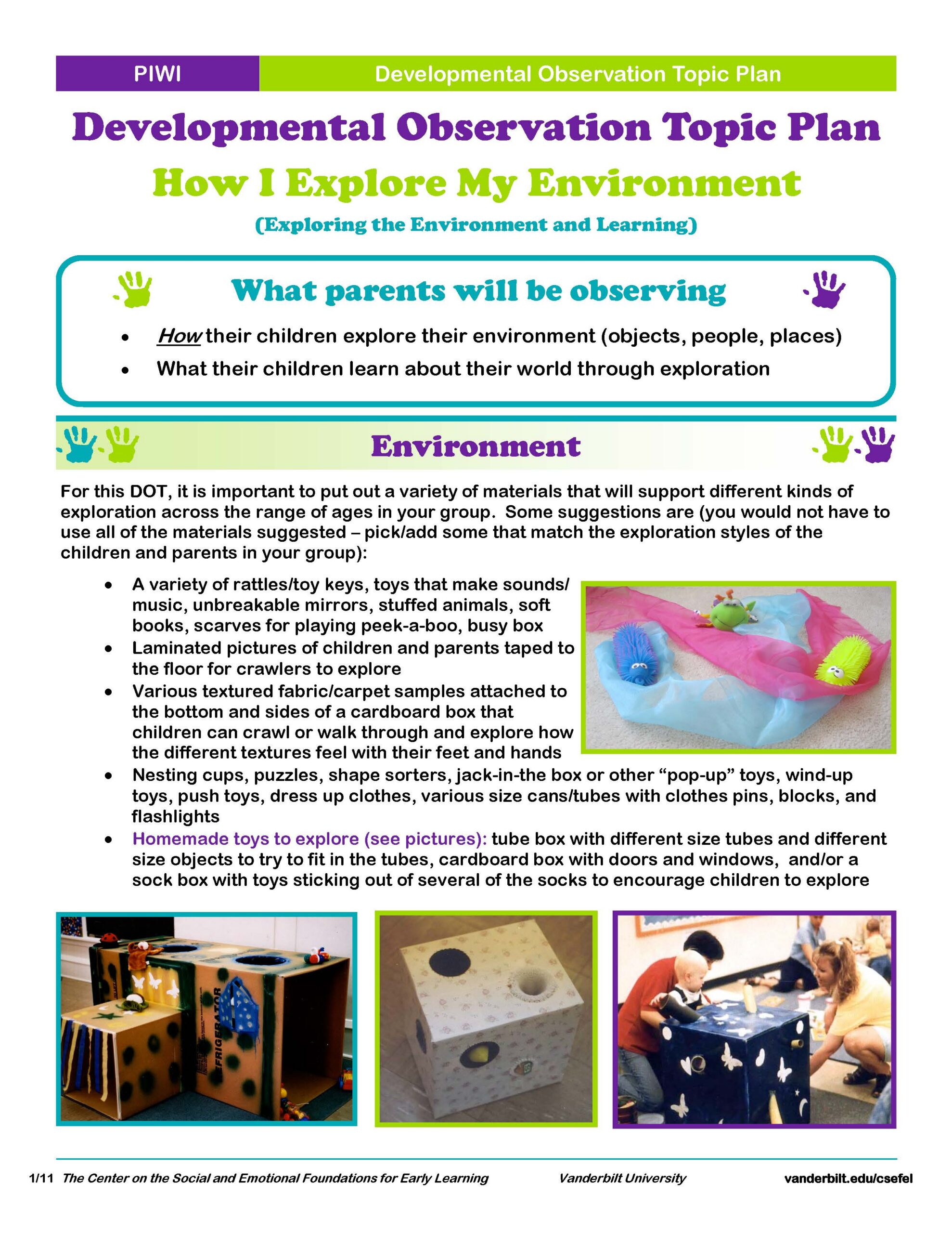 PIWI Handout 12.A-7: Developmental Observation Topic Plan